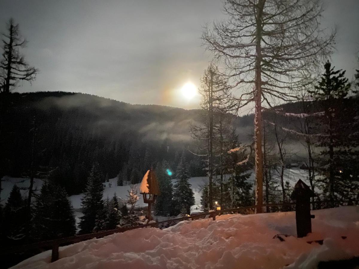 Вилла Almhaus Zirbenheim Nicolina Flattnitz Экстерьер фото